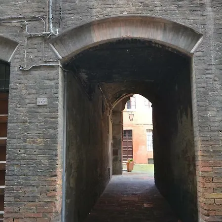 Del Campo *