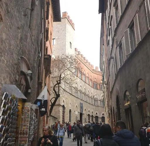 Del Campo