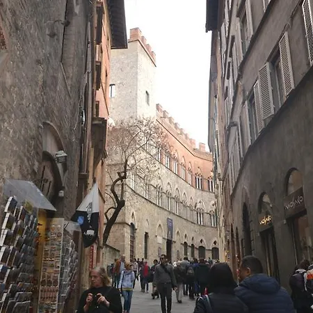 Del Campo